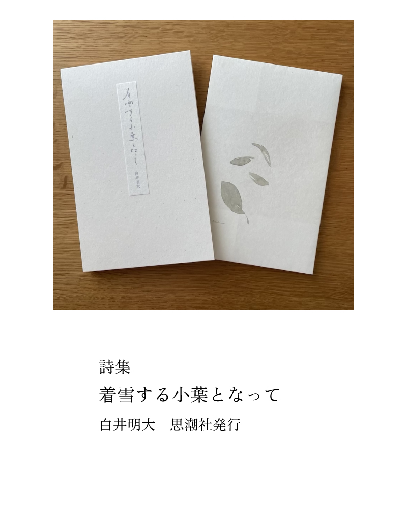 着雪する小葉となって